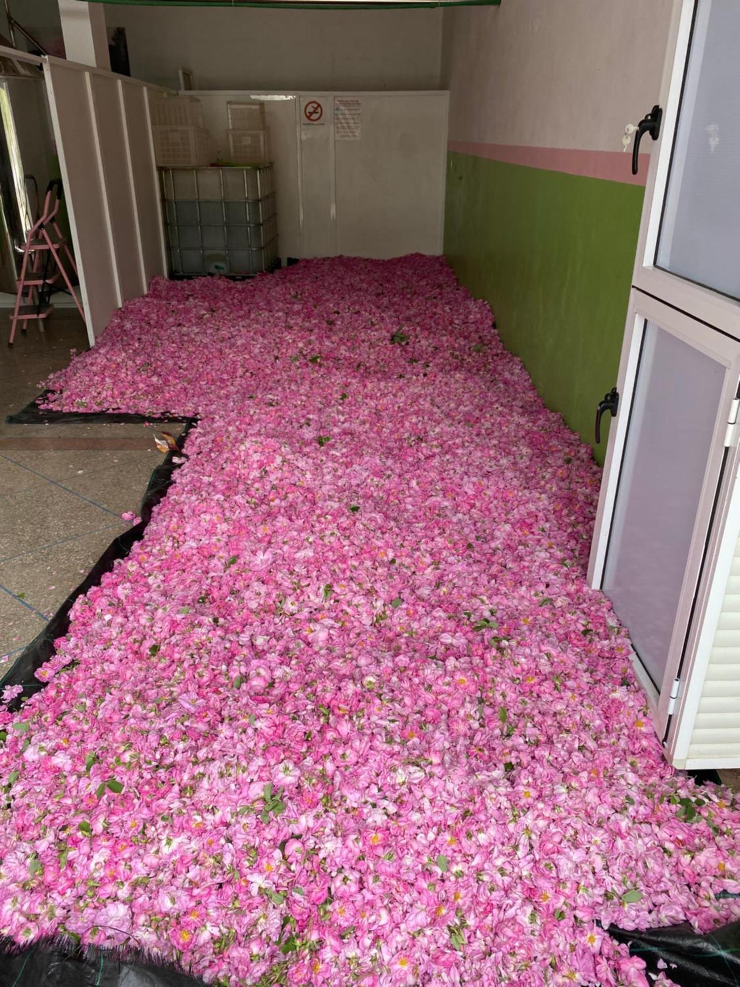 Dar Mgouna Roses Kelaat-M'Gouna Ngoại thất bức ảnh